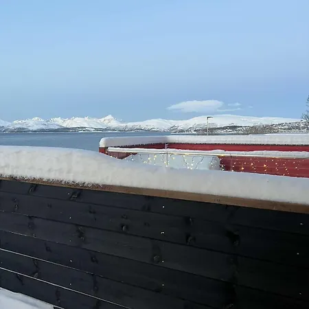 Arctic View *