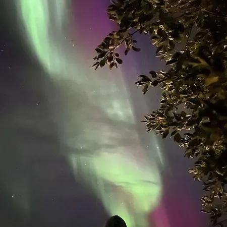 Arctic View شقة